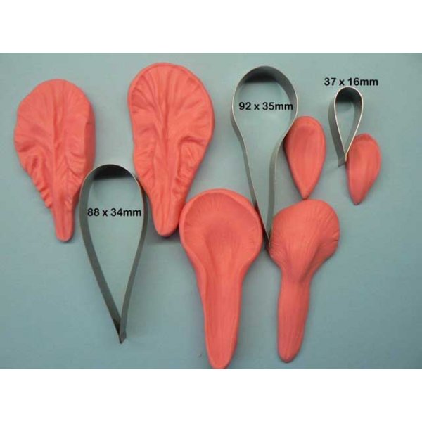 Iris Cutter and Veiner Set SugarTime Cake Decorating Australia