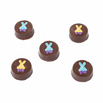 Bunny Cookie Chocolate Mould