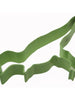 Green T-Rex Dinosaur Cookie Cutter