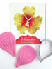 Hibiscus Cutter and Veiner Set