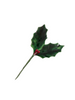 Medium Holly Pick 12pk