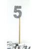 Glittered Silver Candle No. 5