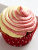 Two Tone Disposable Piping Bag 10pk