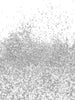 Barco Glitter - Silver Flitter 10ml